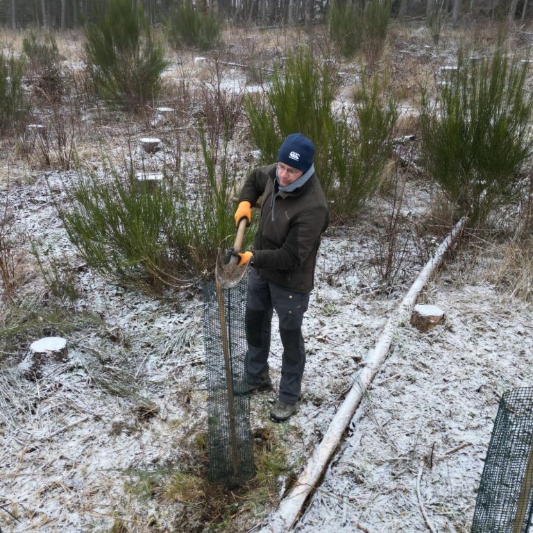 Dr. Patrick Rudolph pflanzt einen Baum in einem frostigen Waldgebiet.